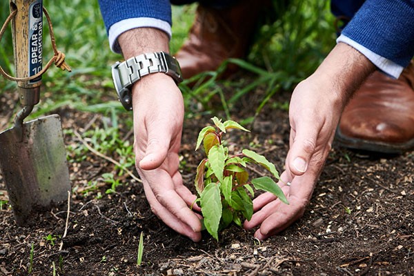 Paul, Director of Equinfo nurting the growth of a plant